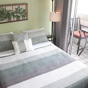  Apartment Prince Edward 602a United States